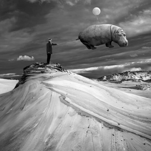Photograph Dariusz Klimczak Tamer on One Eyeland